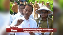 Panen Kopi Bersama Jokowi: Mendorong Produktivitas dan Kualitas Ekspor Kopi Indonesia