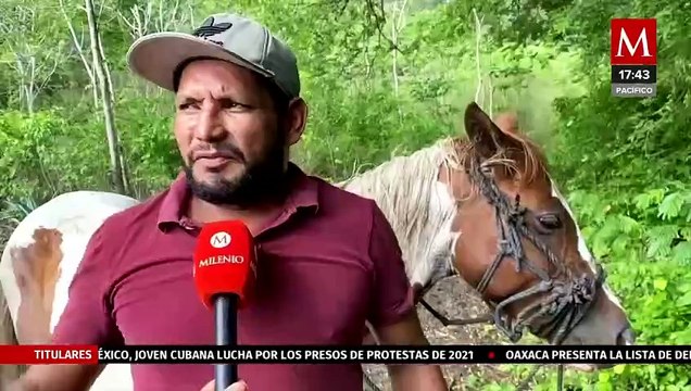 La Huasteca Potosina se revitalizan en flora y fauna gracias a las lluvias