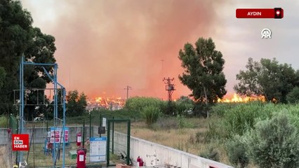Aydın'daki kağıt fabrikasında yangın çıktı
