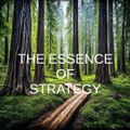 Essence of Strategy