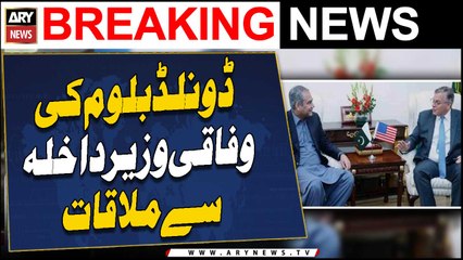 Mohsin Naqvi, US Ambassador discuss bilateral cooperation