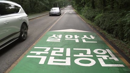 로드킬·흡연 적발 증가...설악산 관통 도로 5곳에 경계 표시 / YTN