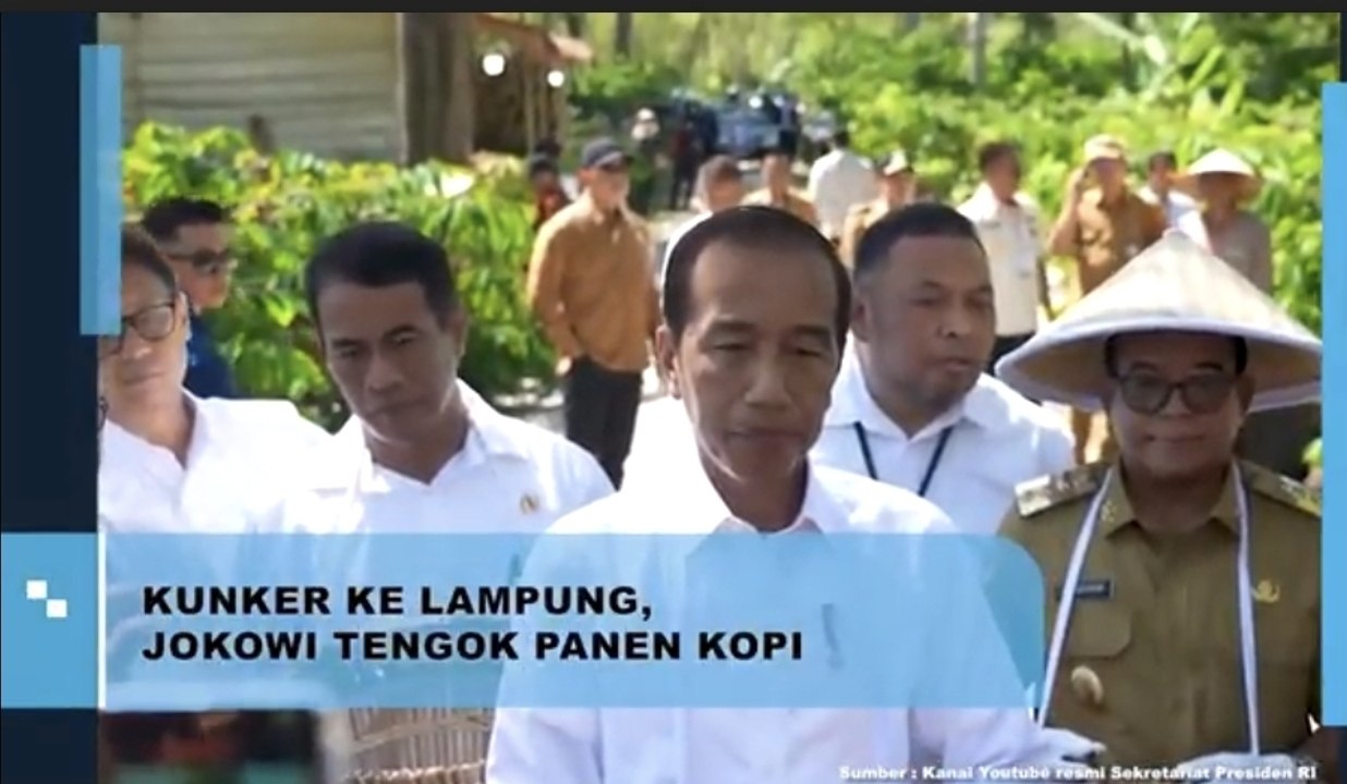Kunker ke Lampung, Jokowi Tengok Panen Kopi
