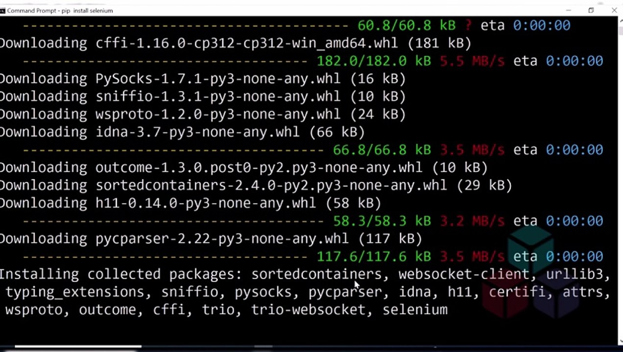 Python Package Manager