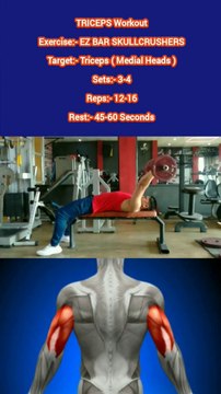 ❌ EZ BAR SKULLCRUSHERS ✔️ How can I get Bigger TRICEPS? #heermlgangaputra #naturalbodybuilding #workout #exercise #fitness #gym #muscle #training