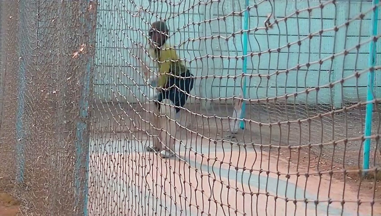 CRICKET SIDARM THROWER  BATTING PRACTICE MASTERCLASS.