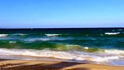 Khám Phá 'Biển Nhớ' - Tác Phẩm Đặc Sắc của Trịnh Công Sơn 🎶