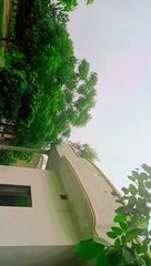 Beautiful View After Rain.