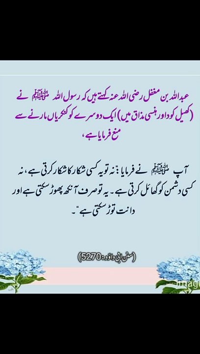 یہ تو انکھ بھی پھوڑ سکتی ہے اور دانت بھی توڑ سکتی ہے #trending#viral#shorts#dailymotion#islamic#foryou