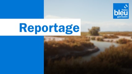 La fête du Tour de France à Nîmes (Gard)