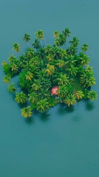 Alone in an Island
