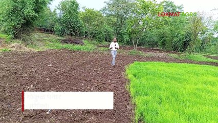 पाऊसचं नाही, भात लागवड करायची तरी कशी त्र्यंबकेश्वर तालुक्यातील परिस्थिती