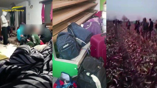 Caporalato, lavoratori indiani sfruttati nei campi senza paga per estinguere debito di viaggio in Italia (13.07.24)