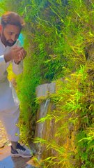 Beauty of Kashmir | discover Kashmir | کشمیر کی خوبصورتی