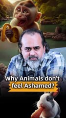 Why Animals don’t feel Ashamed? || Acharya Prashant