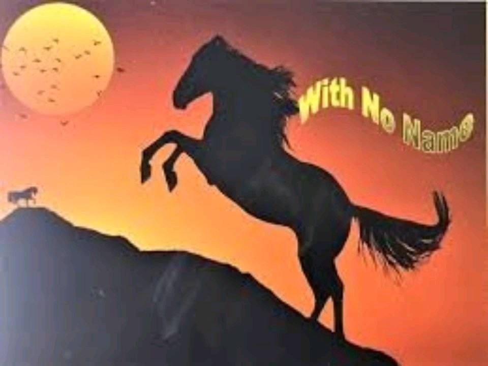 Horse with No Name -Steven Tatum