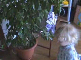 Recherche des oeufs 2