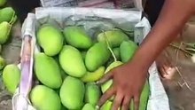 Sagar fruits company