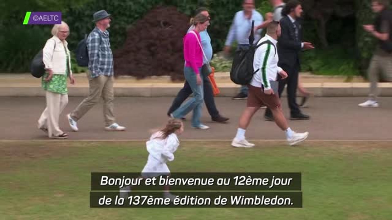Wimbledon - Alcaraz et Djokovic pour un remake de la finale de l’année dernière !
