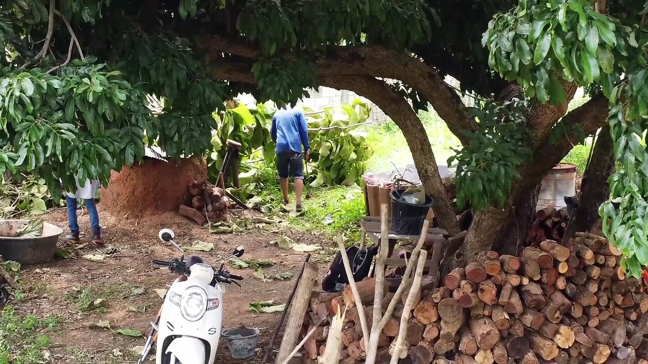 Bereue ich die Auswanderung nach Thailand?