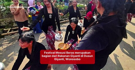 Festival Mesusi Beras dalam Rakanan Giyanti, Punya Makna Adiluhung Hubungan Manusia dengan Alam