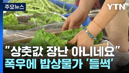 "상춧값 장난 아니네요"...폭우에 밥상 물가 '들썩' / YTN