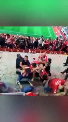 Download Video: Pelea entre aficionados de Xolos y Chivas termina en balacera.