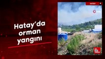Hatay'da orman yangını: Havadan müdahale başladı