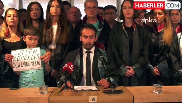 İstanbul Barosu Hayvan Hakları Merkezi, AKP'nin Hayvan Hakları Kanunu'na ilişkin düzenlemeler içeren kanun teklifine karşı çıkıyor