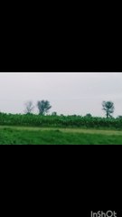 "Beautiful Weather, Cool Breeze, and Overcast Skies"