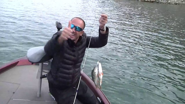 Comment PECHER au LEURRE en LIGHT ? (perche, sandre, brochet...)