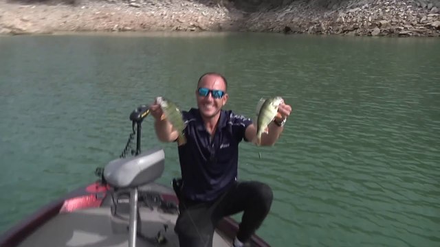 Comment PÊCHER les carnassiers en DROP SHOT ? (Perche, sandre, brochet...)