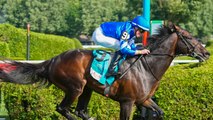 Exciting Horse Racing Season: Saratoga and Del Mar Opens
