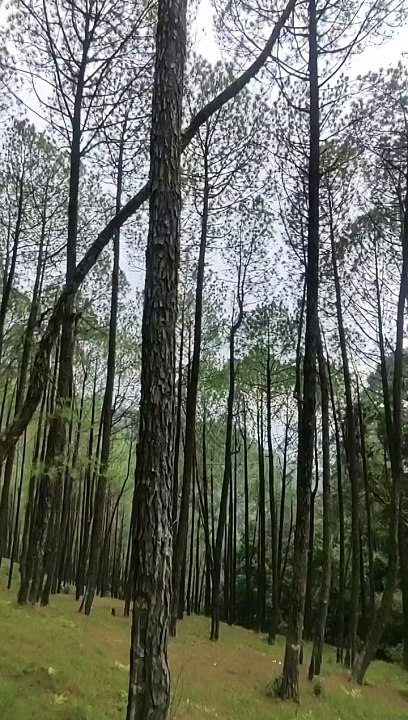 Nagarkot, Nepal