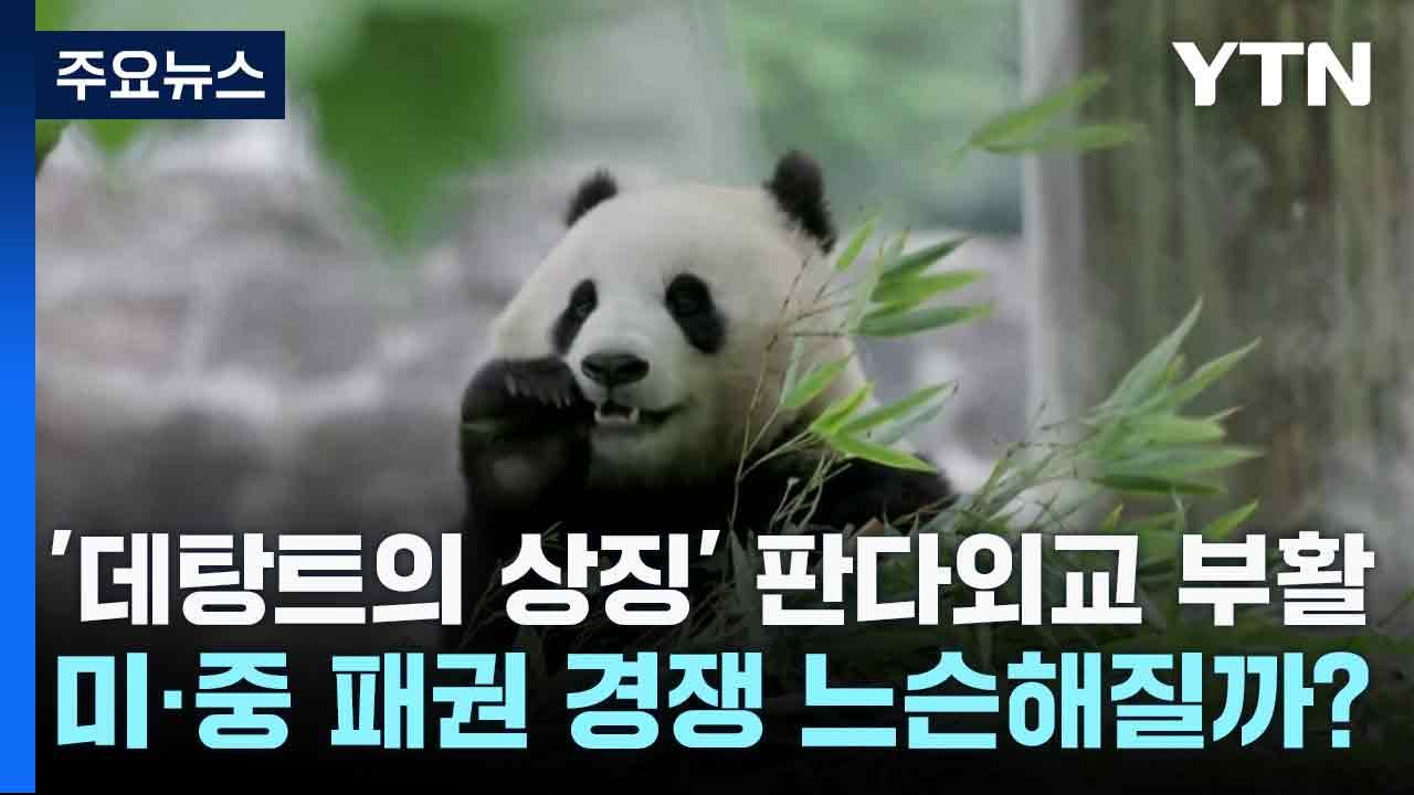 '데탕트의 상징' 판다외교 부활...미·중 패권 경쟁 느슨해질까? / YTN