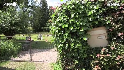 Orrore in Francia, rapisce e uccide figliastra di 6 anni