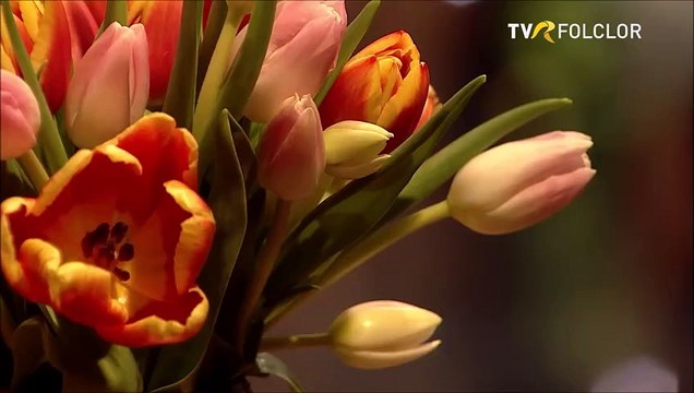 Adriana Deaconu - Lasa, neica, ochii-n jos (Tezaur folcloric - TVR)