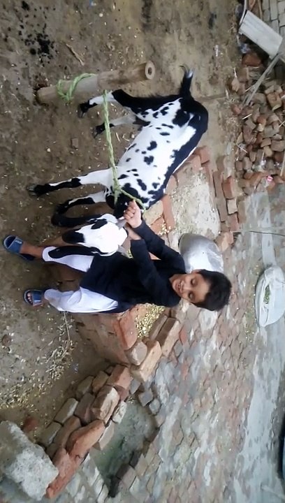 Fanny video