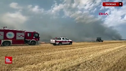 Tekirdağ'da anız yangınında 2 bin dönüm tarım alanı zarar gördü