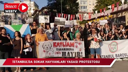 İstanbul'da sokak hayvanları yasası protestosu