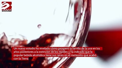 El vino procede del asteroide que extinguió a los dinosaurios