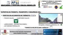 4.1 PERITOS EN ACCIDENTES DE TRÁNSITO- FÍSICOS VIALES Y AUDITORES VIALES: