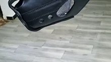 VID-20240710-WA0009
