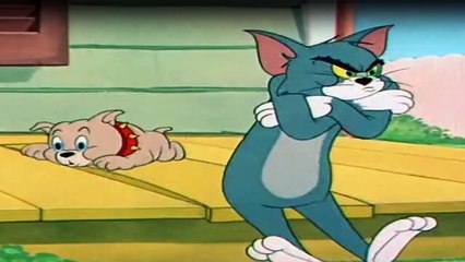 Tom und Jerry Staffel 2 Folge 30 HD Deutsch