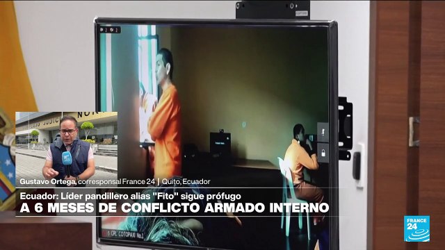 Informe desde Quito: se cumplen seis meses de conflicto armado interno en Ecuador