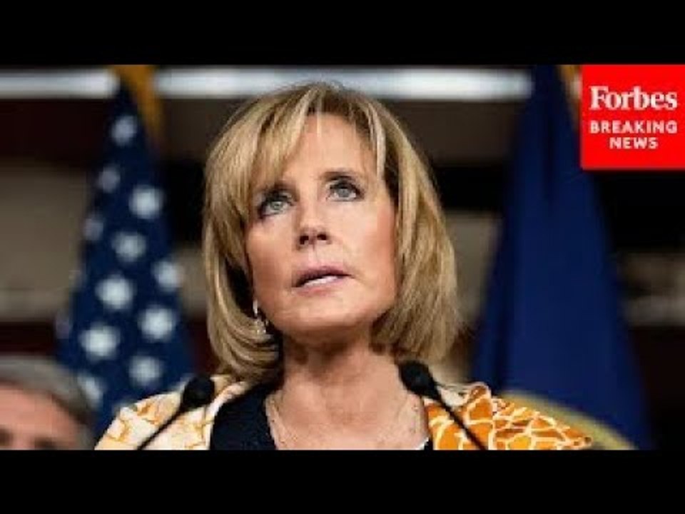 ‘The Democrats Are Attempting To Undermine Our Elections’: Claudia Tenney Promotes SAVE Act