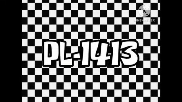 PL-1413 de 2004 ( Real falso)