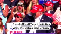 Trump rushed off stage after shots fired at rally