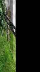 32. Dijual Rumah Mewah di Kawasan Elit Pondok Indah Jakarta Selatan