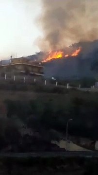 Segundo conato de incendio en Tenerife en las últimas horas